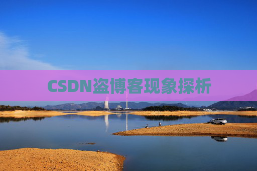 CSDN盗博客现象探析 CSDN盗博客现象探析